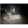 Image 2 : ODIN OUTFITTERS South Texas Whitetail Hunt