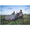 Image 1 : WILDLIFE SYSYEMS South Texas Nilgai Antelope Hunt