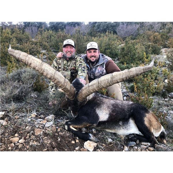 CORJU HUNTING Spanish Management Beceite Ibex for Two