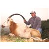 Image 3 : POPE BROTHERS Texas Scimitar-Horned Oryx Bull Hunt