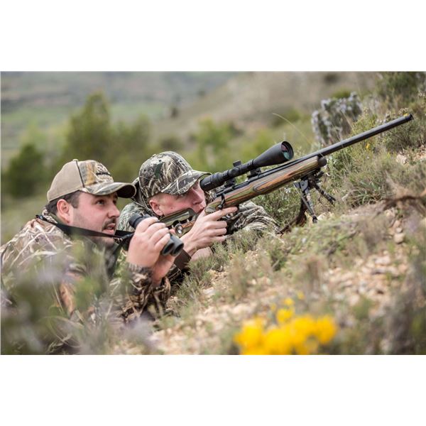 CORJU HUNTING Iberian Red Deer Hunt for two with Castle Stay
