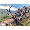 Image 3 : CORJU HUNTING Iberian Red Deer Hunt for two with Castle Stay
