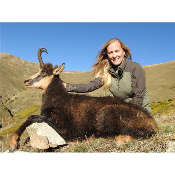 CAPRINAE Vercors Chamois Hunt In France