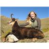 Image 1 : CAPRINAE Vercors Chamois Hunt In France