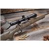Image 2 : IN RUT RIFLES Custom Fullcurl Lightweight Hunting Rifle