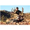 Image 2 : EL CHAPPARAL RANCH Gold Mule Deer Hunt