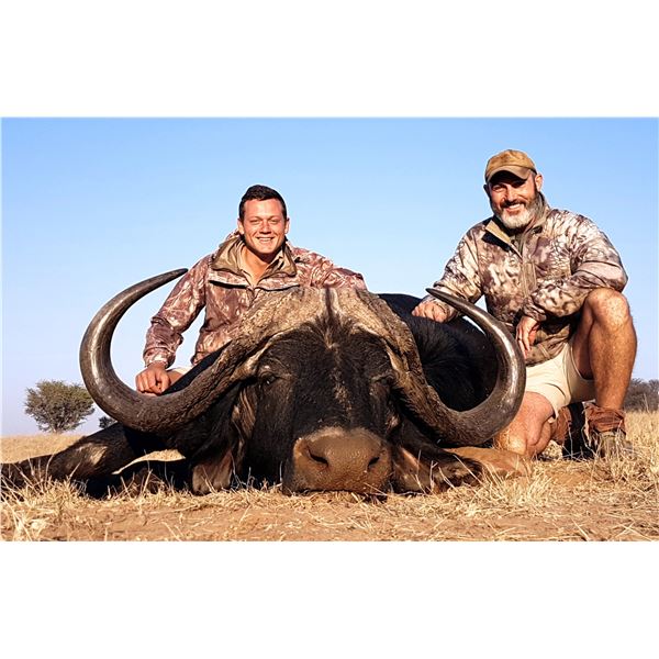 HORNS AFRICA SAFARIS Trophy Cape Buffalo Hunt