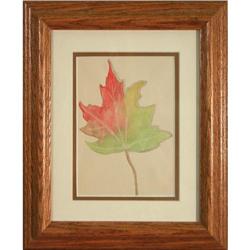 Leaf, Watercolor by Margaret L. Neill #2175603