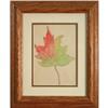 Leaf, Watercolor by Margaret L. Neill #2175603