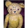 Image 1 : 1925 Straw Stuffed 23" Hump Bear #2189011
