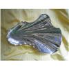 Image 1 : VINT.STERLING 12"SHELL w. STARFISH&FISHFEET #2189237