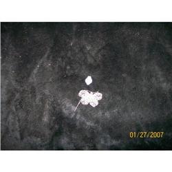 Filagree Sterling Silver #2215690