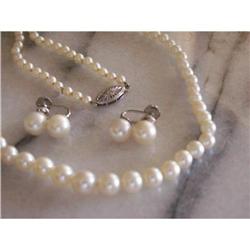 SALE Exquisite Edwardian Era High Lustre #2216034