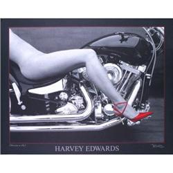Harvey Edwards Obsession in Red (black border) #2216130