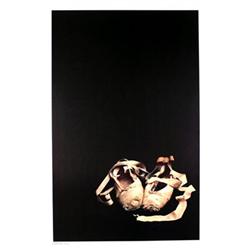 Harvey Edwards Ballet Slippers #2216134