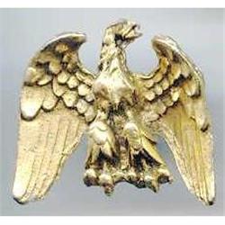 SALE Fabulous Eagle Pin #2217391