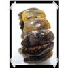Image 1 : DEEP Rich color BALTIC Amber Bracelet~40 GRAMS #2217954