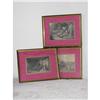 Image 1 : Framed Engravings SKU 5339 #2218365