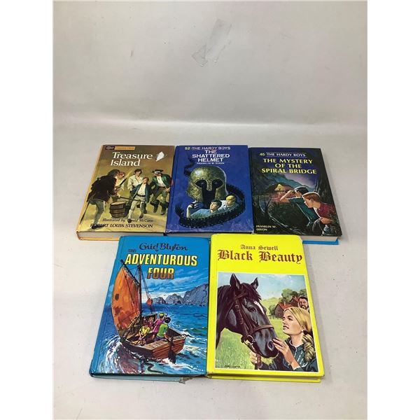 Assorted Lot Of Hard Copy Books