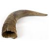 Image 1 : Single Buffalo Horn
