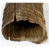 Image 2 : Single Buffalo Horn