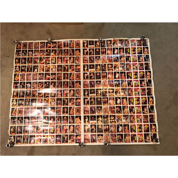 WWF Wrestling poster w/ individual wrestlers cards - 58in x 44in