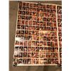 Image 2 : WWF Wrestling poster w/ individual wrestlers cards - 58in x 44in