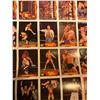 Image 4 : WWF Wrestling poster w/ individual wrestlers cards - 58in x 44in