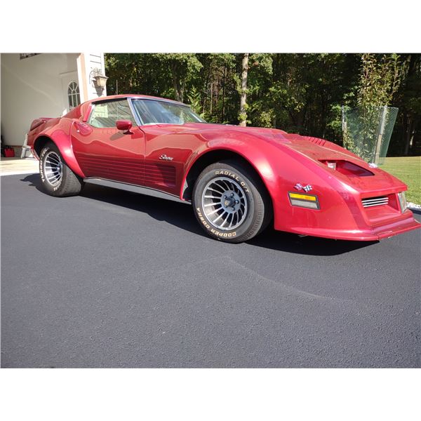 1973 CUSTOM STINGRAY CORVETTE