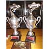Image 2 : LOT OF 6 TROPHIES