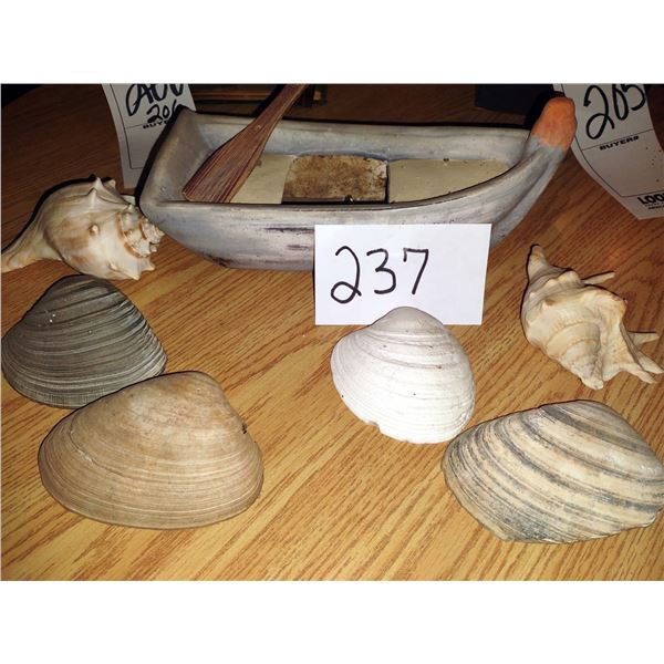 SEASHELL COLLECTION AND ROW BOAT LOT