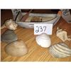 Image 1 : SEASHELL COLLECTION AND ROW BOAT LOT