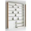 Image 1 : Gio Ponti bookshelf from Via Dezza 49 Giordan