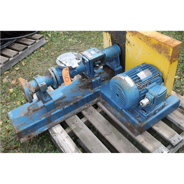 Peacock Screw Cavity Pump for Oil, 2 HP, s/n: A1ECSDO3AAA