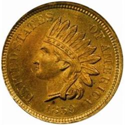 1859 Indian Cent. MS64 (NGC)