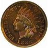 Image 1 : 1883 Indian Cent. PR66 RB (NGC)