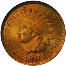 1901 Indian Cent. MS66 * RD (NGC)