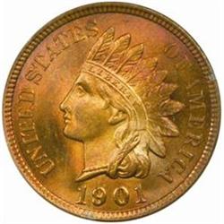 1901 Indian Cent. MS65 RD (PCGS)