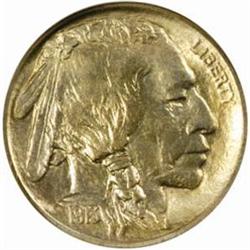 1913 Buffalo 5C. Type I. PR67 (NGC)