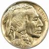 Image 1 : 1915 Buffalo 5C. MS67 (PCGS)