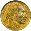Image 1 : 1918 Buffalo 5C. MS64 (NGC)