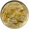 Image 1 : 1918-D Buffalo 5C. MS64 (NGC)