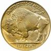 Image 2 : 1918-D Buffalo 5C. MS64 (NGC)