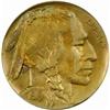 Image 1 : 1919-D Buffalo 5C. MS64 (PCGS)
