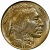Image 1 : 1919-S Buffalo 5C. MS65 (NGC)