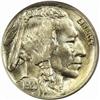 Image 1 : 1920 Buffalo 5C. MS66 (PCGS)