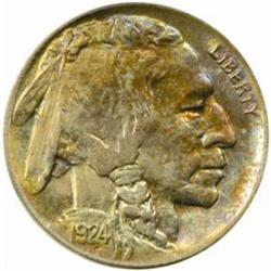 1924-D Buffalo 5C. MS63 (PCGS)