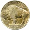 Image 2 : 1924-D Buffalo 5C. MS63 (PCGS)