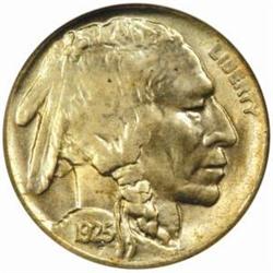1925-D Buffalo 5C. MS64 (NGC)