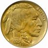 Image 1 : 1925-D Buffalo 5C. MS64 (NGC)